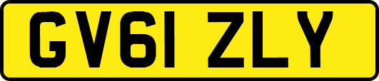 GV61ZLY