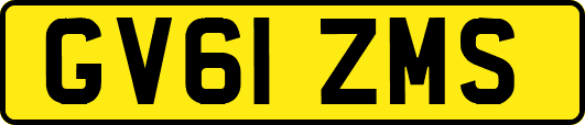 GV61ZMS
