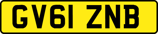 GV61ZNB