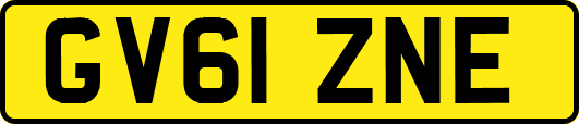 GV61ZNE