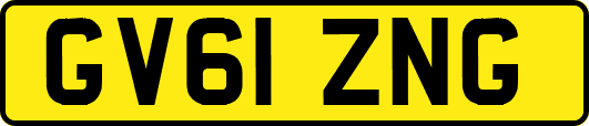 GV61ZNG