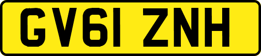 GV61ZNH