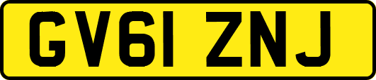 GV61ZNJ