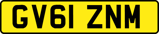 GV61ZNM