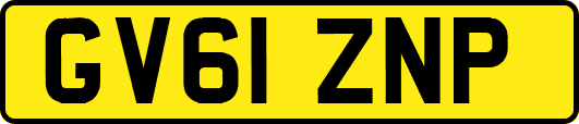 GV61ZNP