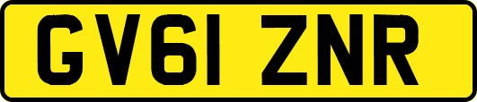 GV61ZNR