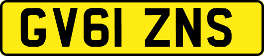 GV61ZNS