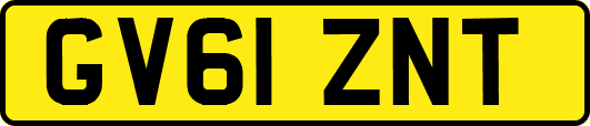GV61ZNT
