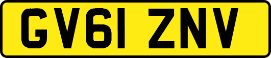 GV61ZNV