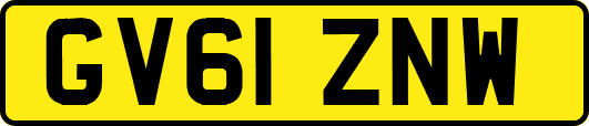 GV61ZNW