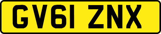 GV61ZNX