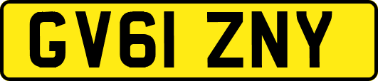 GV61ZNY