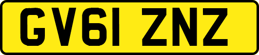GV61ZNZ