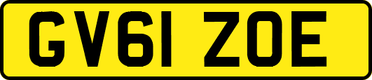 GV61ZOE