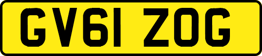 GV61ZOG