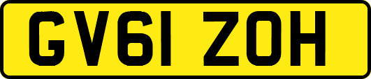 GV61ZOH