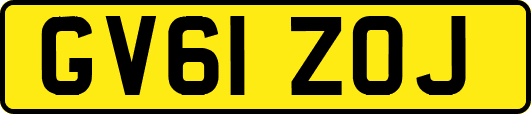 GV61ZOJ