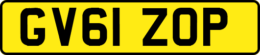 GV61ZOP