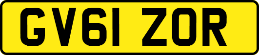GV61ZOR