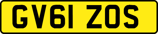 GV61ZOS