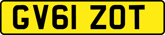 GV61ZOT