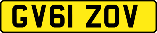 GV61ZOV