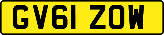 GV61ZOW