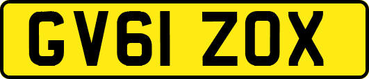 GV61ZOX
