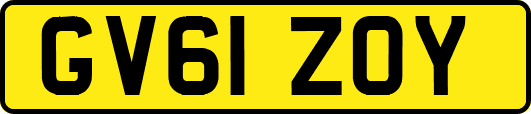 GV61ZOY