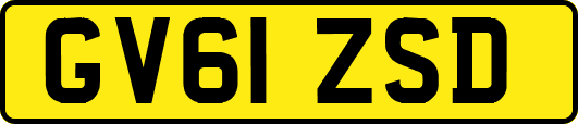 GV61ZSD