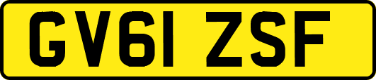GV61ZSF