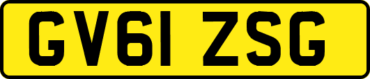 GV61ZSG