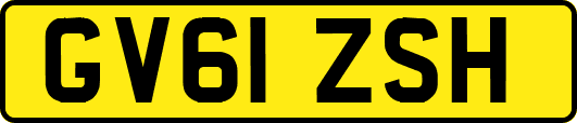 GV61ZSH