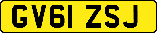 GV61ZSJ