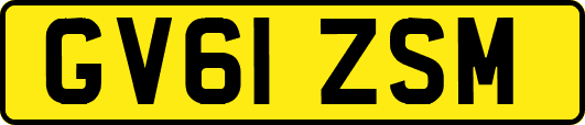 GV61ZSM