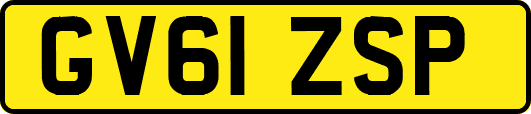 GV61ZSP