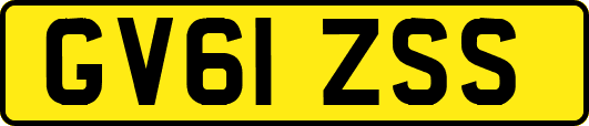 GV61ZSS