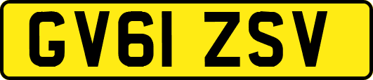 GV61ZSV