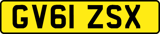 GV61ZSX