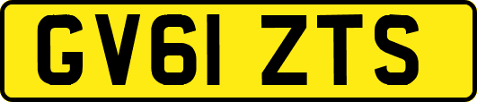 GV61ZTS