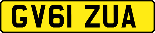 GV61ZUA
