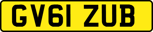 GV61ZUB