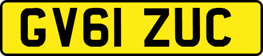 GV61ZUC