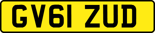 GV61ZUD