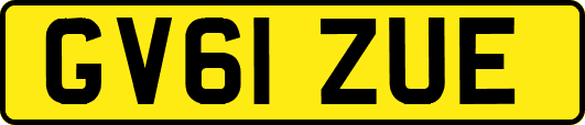 GV61ZUE