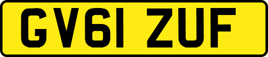 GV61ZUF
