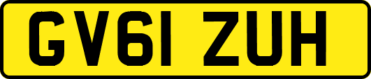 GV61ZUH