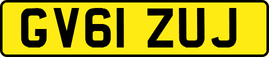GV61ZUJ
