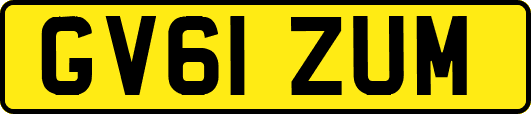 GV61ZUM