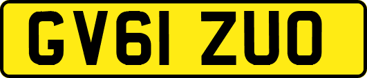 GV61ZUO